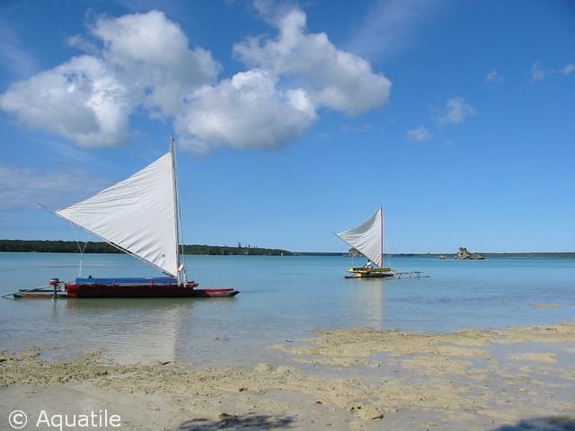  New Caledonia 